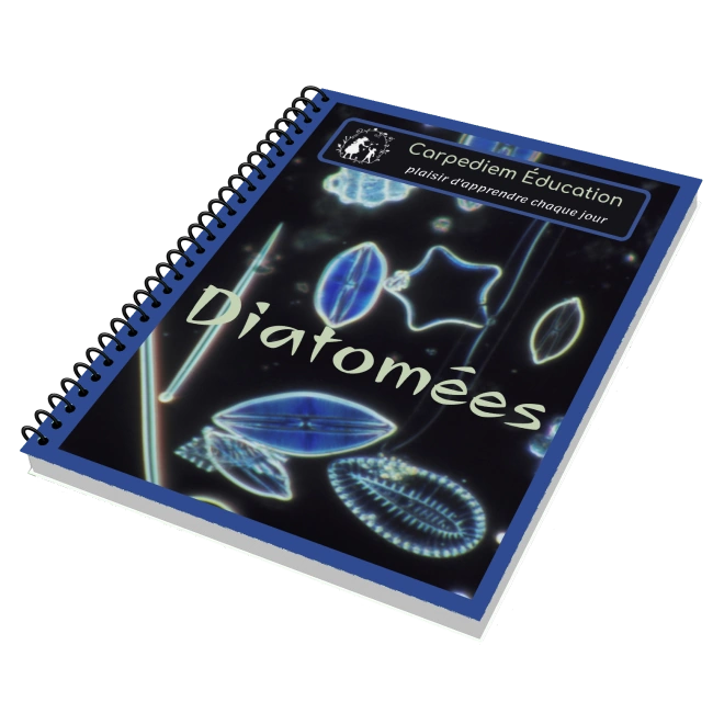 Diatomées